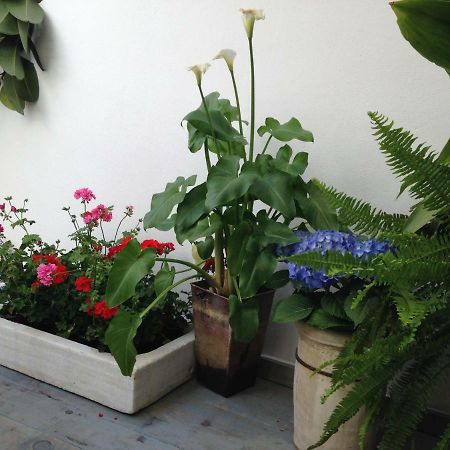 Patio San Lorenzo Kordoba Zewnętrze zdjęcie