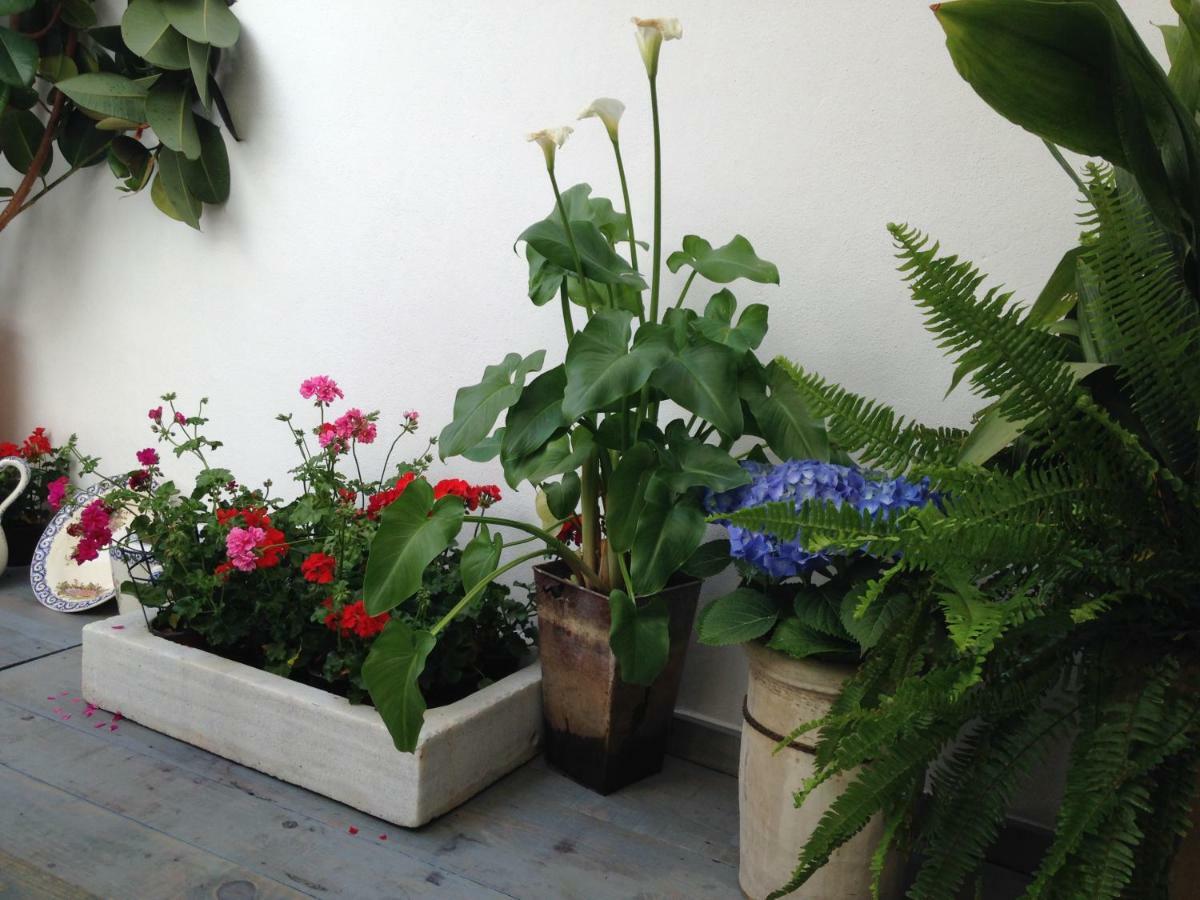 Patio San Lorenzo Kordoba Zewnętrze zdjęcie