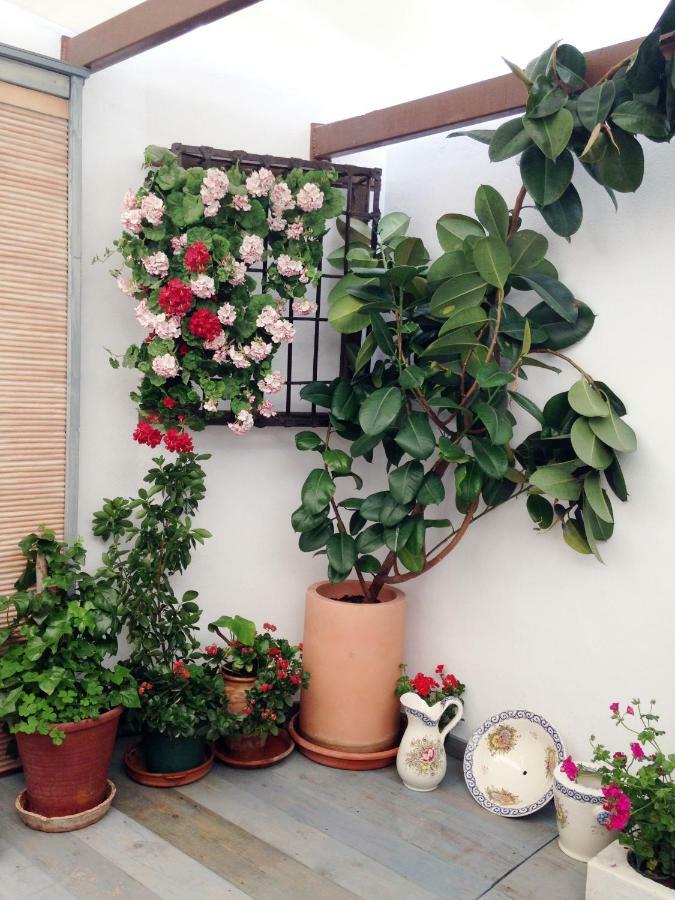 Patio San Lorenzo Kordoba Zewnętrze zdjęcie